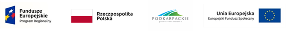baner projekt unia