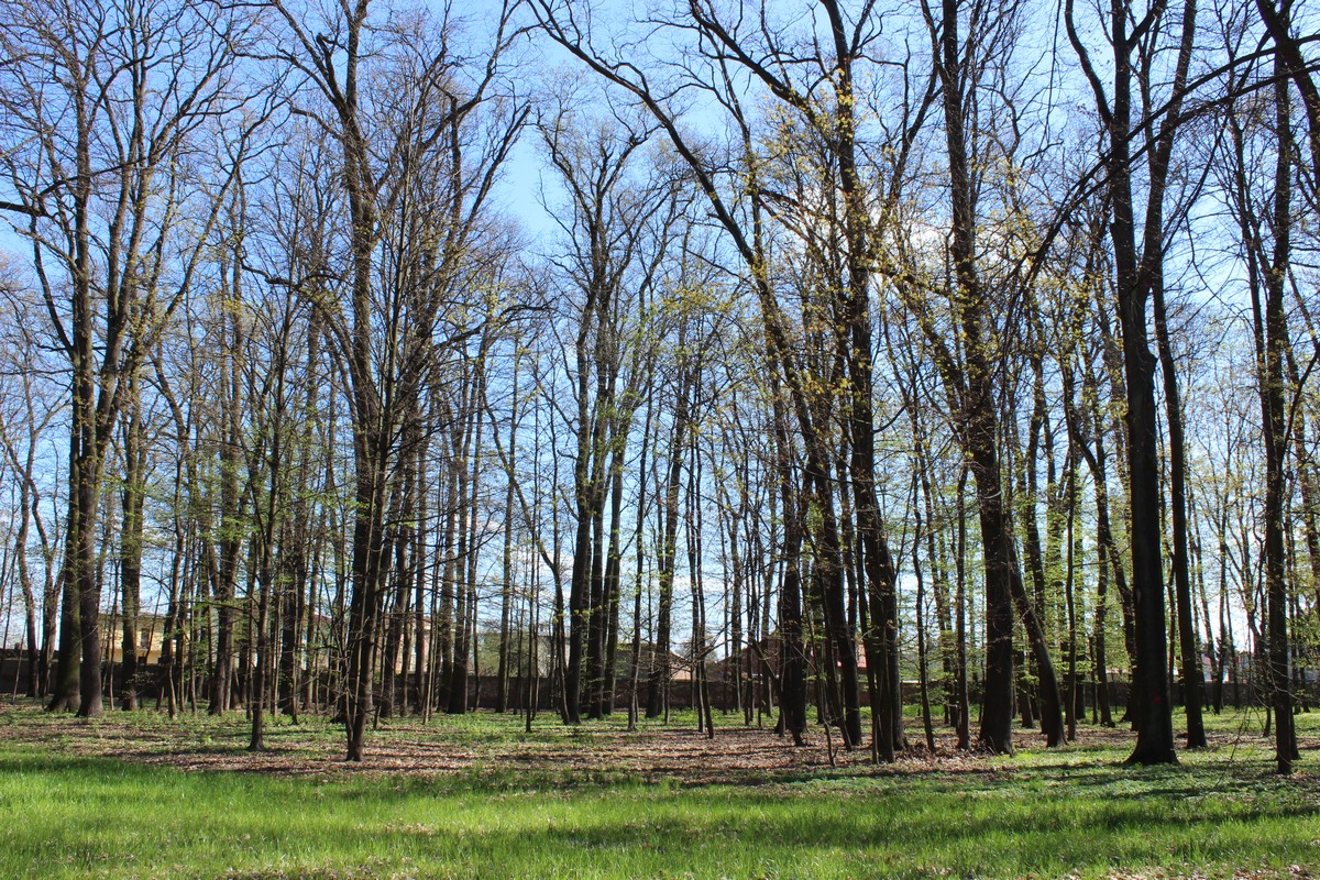 park 2