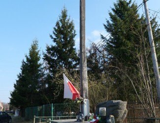 tzn_6